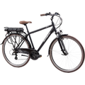 Elektrofahrrad F.lli Schiano E-Ride 28 Zoll 250W schwarz weiss